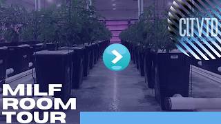 CLTVTD Genetics MILF Room Tour | Indoor Deep Water Culture Cannabis Nursery | Sacramento, CA