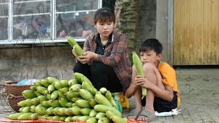 harvest melon fruit to sell at market | Cooking, Daily Life