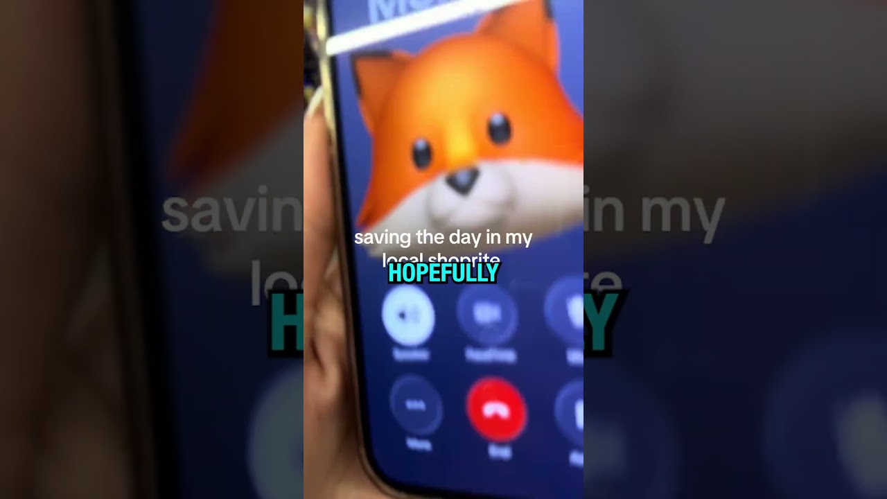 Lost Phone 📱