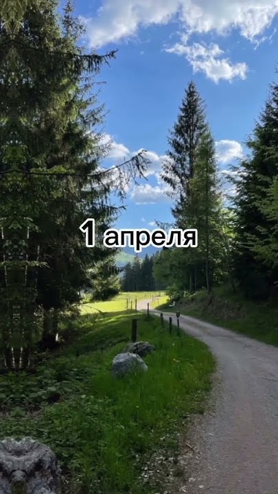 редкие дни рождения 🌍 #лето #актив #природа - YouTube