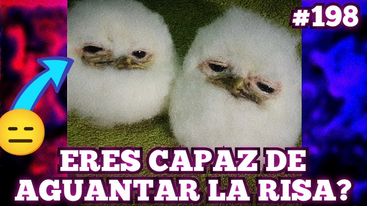 🔥🥵Los PEORES memes de internet 🥵🔥 