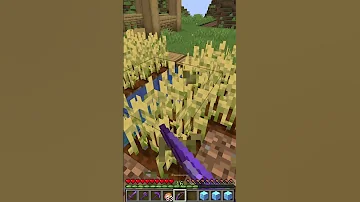Wait For It 159 Hell S Comin With Me Shorts Minecraft 29 