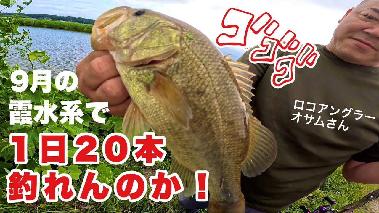 ロコアングラーと霞水系で1日20本釣れるかチャレンジしてみた！248話