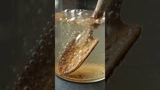 Acid Cleaning a Rusted Steel Garden Trowel #acidcleaning  #rustremoval  #GardenTrowel