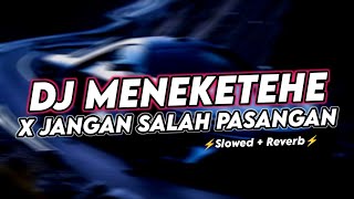 DJ MENEKETEHE X JANGAN SALAH PASANGAN (Slowed+Reverb) - Zeus Fvnky