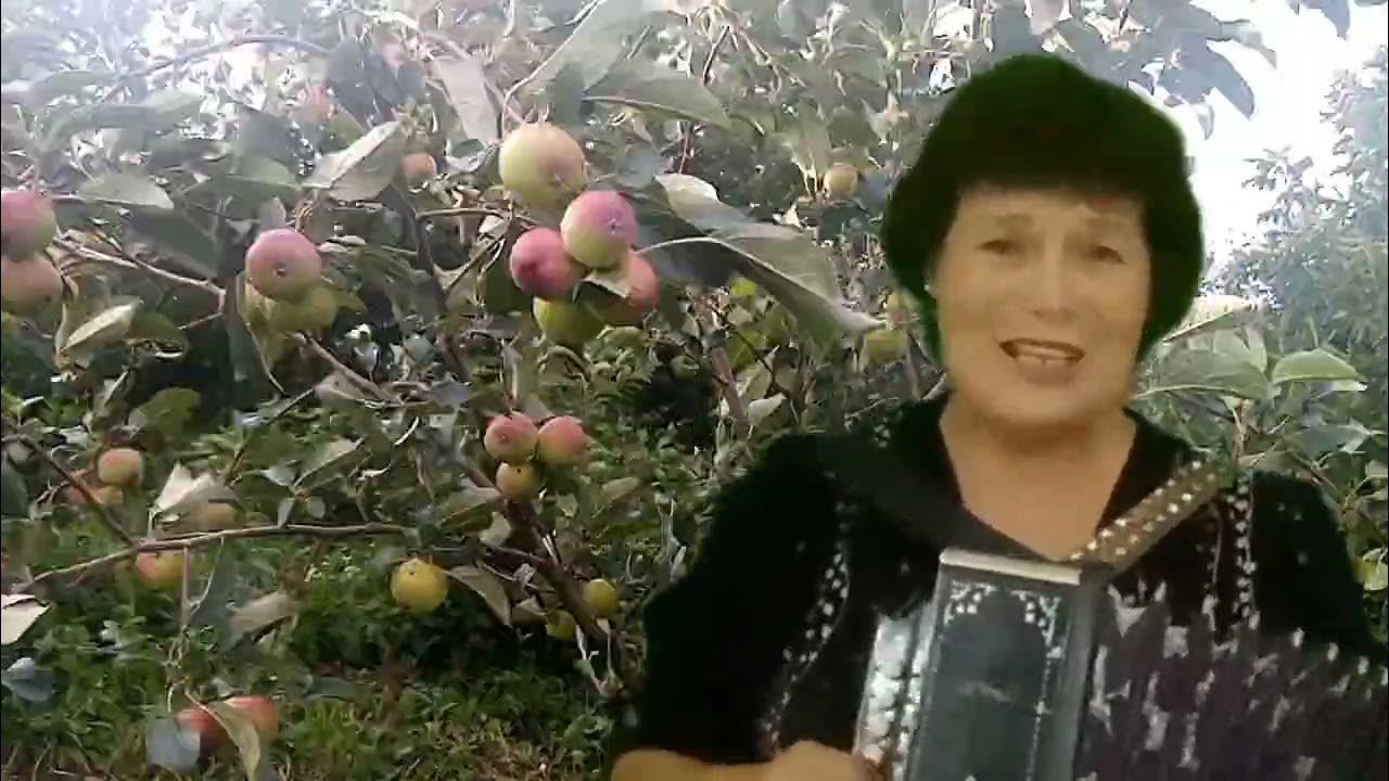 Айша идрисова когда зацветут яблони