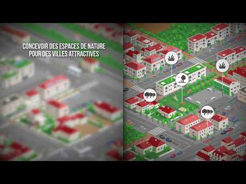 Vidéo: Comment l'urbanisation affecte l'architecture du transit