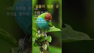 걸음이 멈춘 곳 🎶 SERGMARU MUSIC * Peaceful Gentle Piano Music 🍃 Ambient Sounds