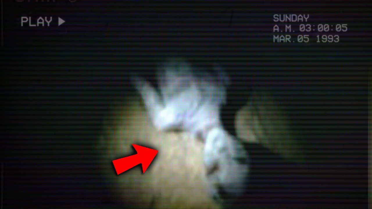 This Wasn’t Human… ALIEN-Like CREATURE CAUGHT on Trail Cam
