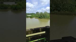 #hattikudru#shortfeed#