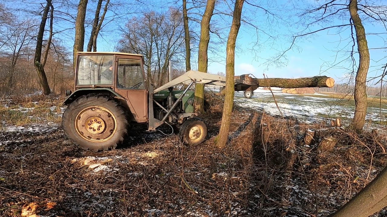 Wyprawa na nieużytki || Robimy porządki