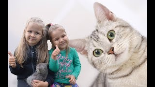 Мой маленький котик Вика как МАМА кормит малыша Детское видео про котенка смотреть Мой маленький котик Вика как МАМА кормит малыша Детское видео про котенка смотреть