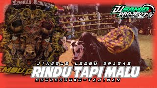 DJBANTENGAN_RINDU_TAPI_MALU‼️JINGGLE LEMBU GRAGAS FT@DJSAMIDPRJCTREALL