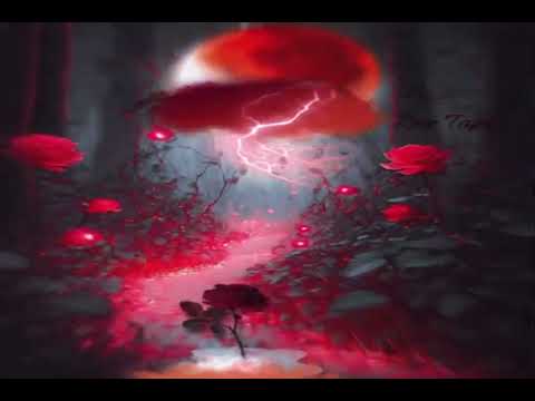 2kQuan - Dreams (feat. Ai6LACK) [Official Visualizer]