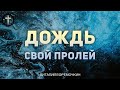 Христианские Песни - Дождь Свой пролей - Виталий Ефремочкин