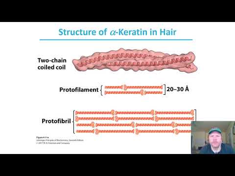 Chapter 4 - pt5: Tertiary Structure