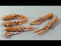 Norway Lobster aka Scampi