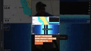 Add Time, Depth &amp; Speed to Your Lowrance Screen! 🎣 #Shorts #findmorecatchmore #Lowrance #FishFinder