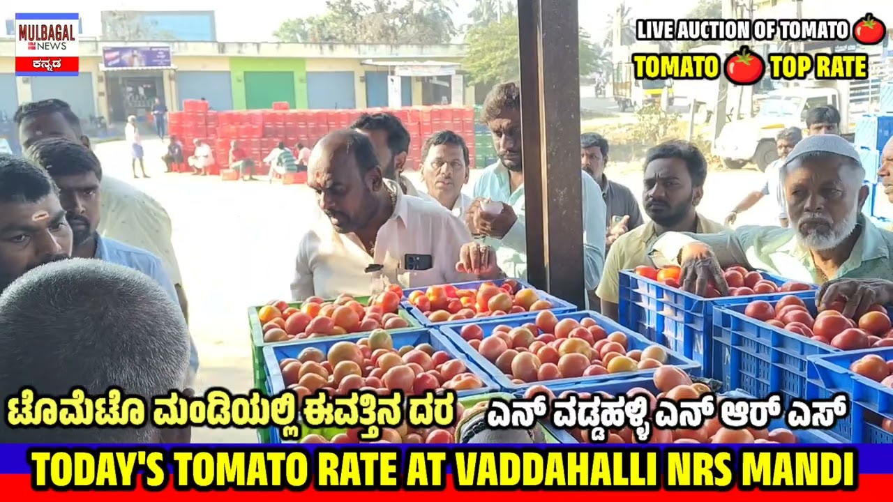 300 лучших оценок сегодня в VADDAHALLI NRS MANDI KARNATAKA