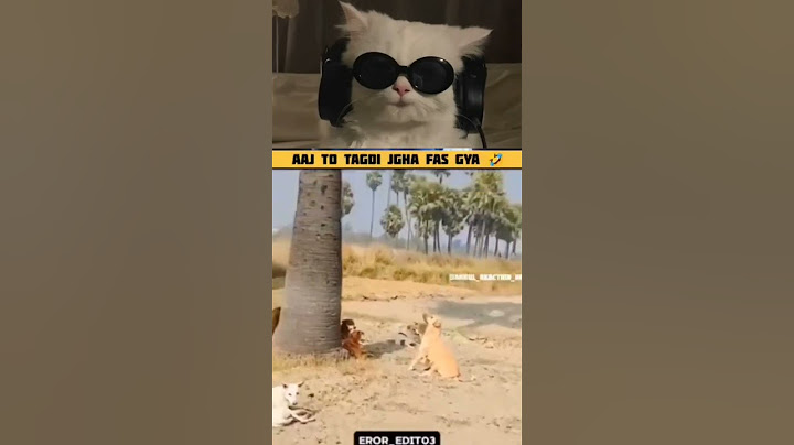 Ab aya ga na maza 🤣🤣 #funnyvideo #animalcomedy #comedyshorts #fun #tranding