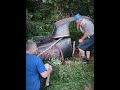 Kentz Kustomz in Hillsborough,NB Canada cutting a roof off a 1950 Plymouth to use on a 1950 DeSoto
