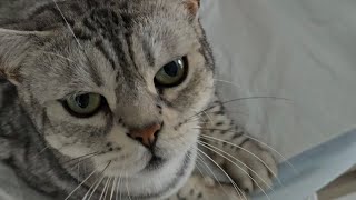 Cosmo Bekommt Eine Schockierende Nachricht