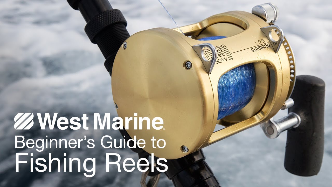 Beginner's Guide to Fishing Reels 