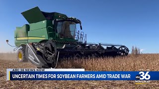 Uncertain times for soybean farmers amid trade war