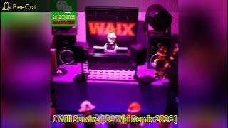Disco每日精選 - I Will Survive (DJ Wai Remix 2006)