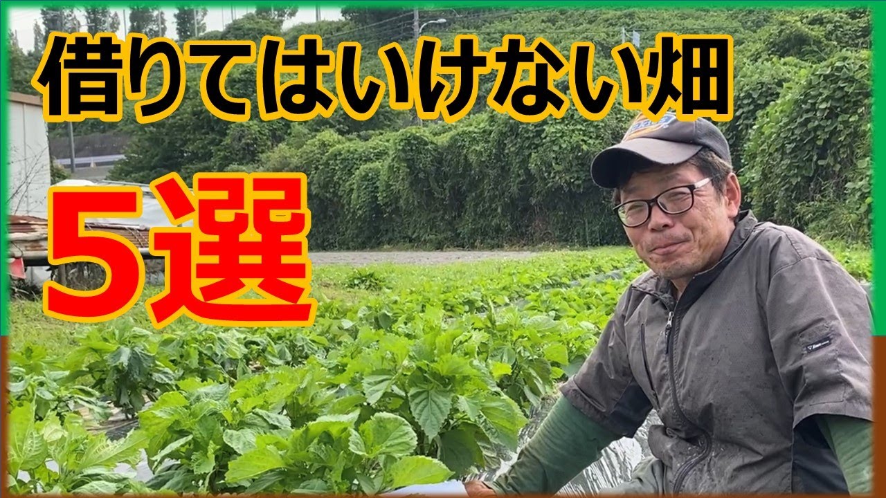 【新規就農】借りてはいけない畑　5選