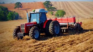 Massey 299 & Case 8940 no plantio de Feijão - Fazenda Piedade - Ponta Grossa - PR