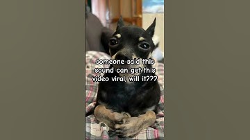 can we get 100k views on this video??? #trending #viral #fyp