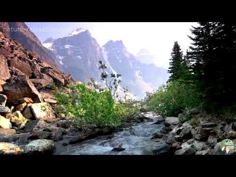 الشيخ حسن كنزي سورة الصافات 