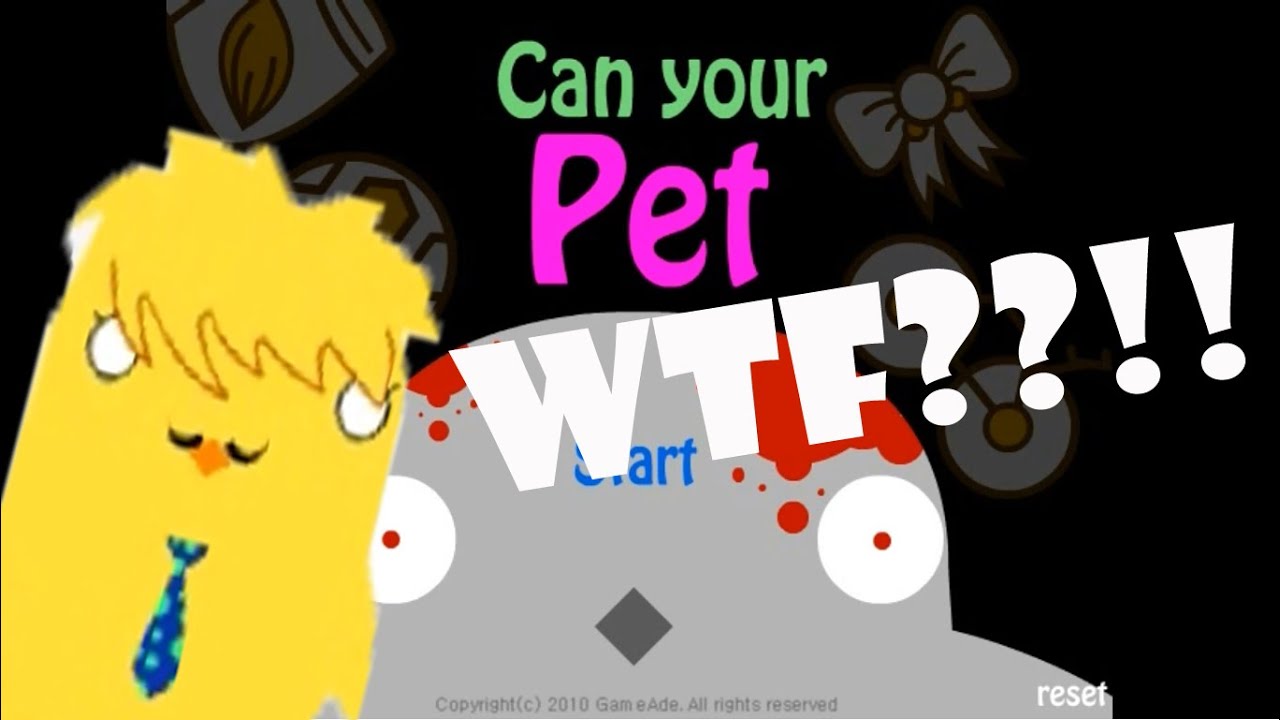 Can your pet 2