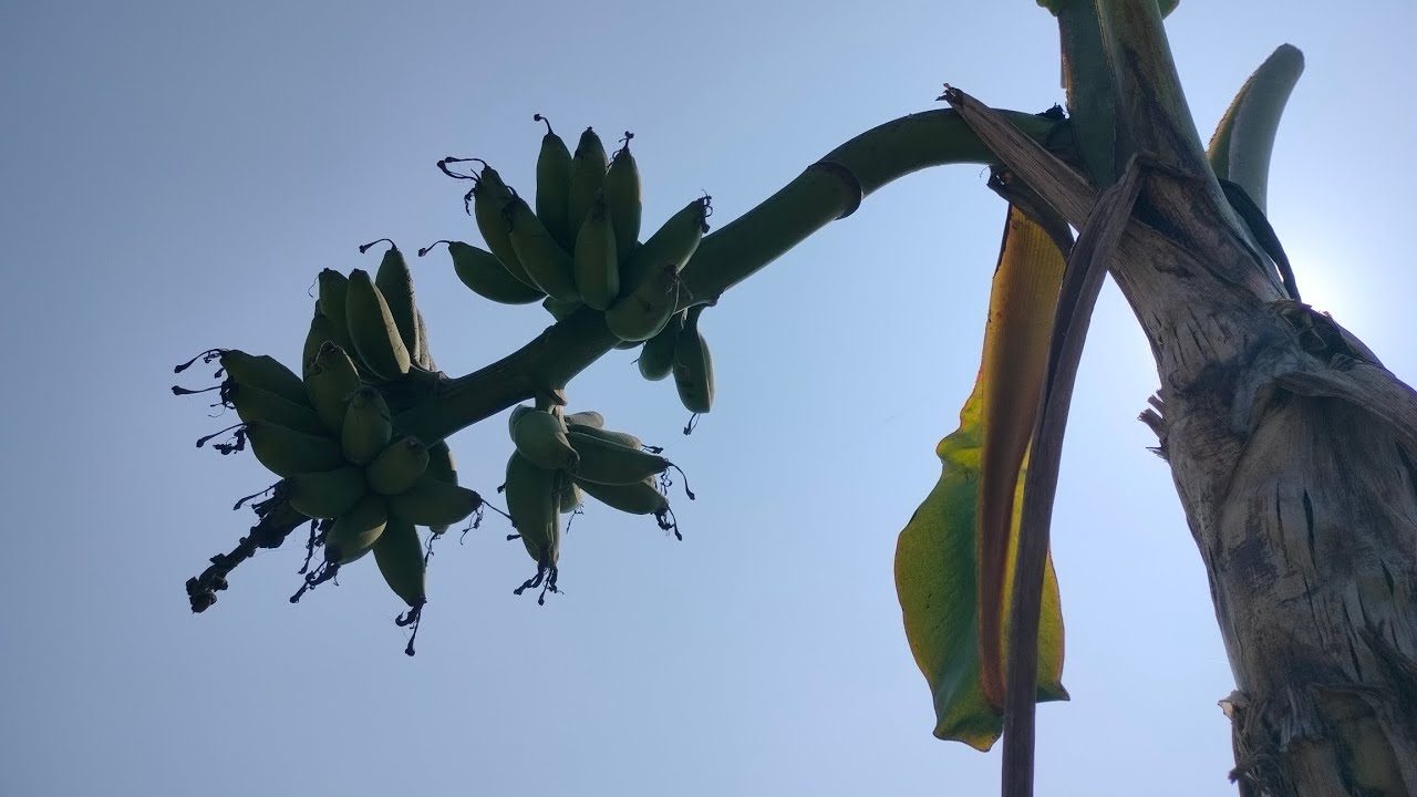 রাস্তা শুধু চলার পথ না—এটা সিদ্ধান্তের গল্প।