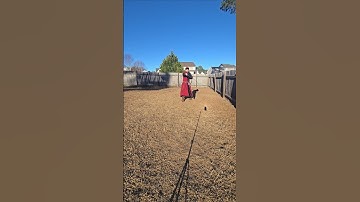 Vertical cuts with a shamshir and walking #shamshir