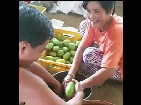 Video: Paano Pahinugin Ang Isang Mangga