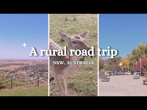 Med student on break diaries | A rural road trip 🚗