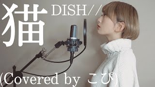 Video thumbnail of "猫 / DISH// (Covered by こぴ)"