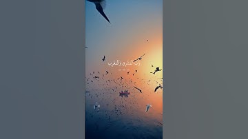 واذكر اسم ربك وتبتل اليه تبتيلا قران كريم بصوت الشيخ عبد الرحمن مسعد