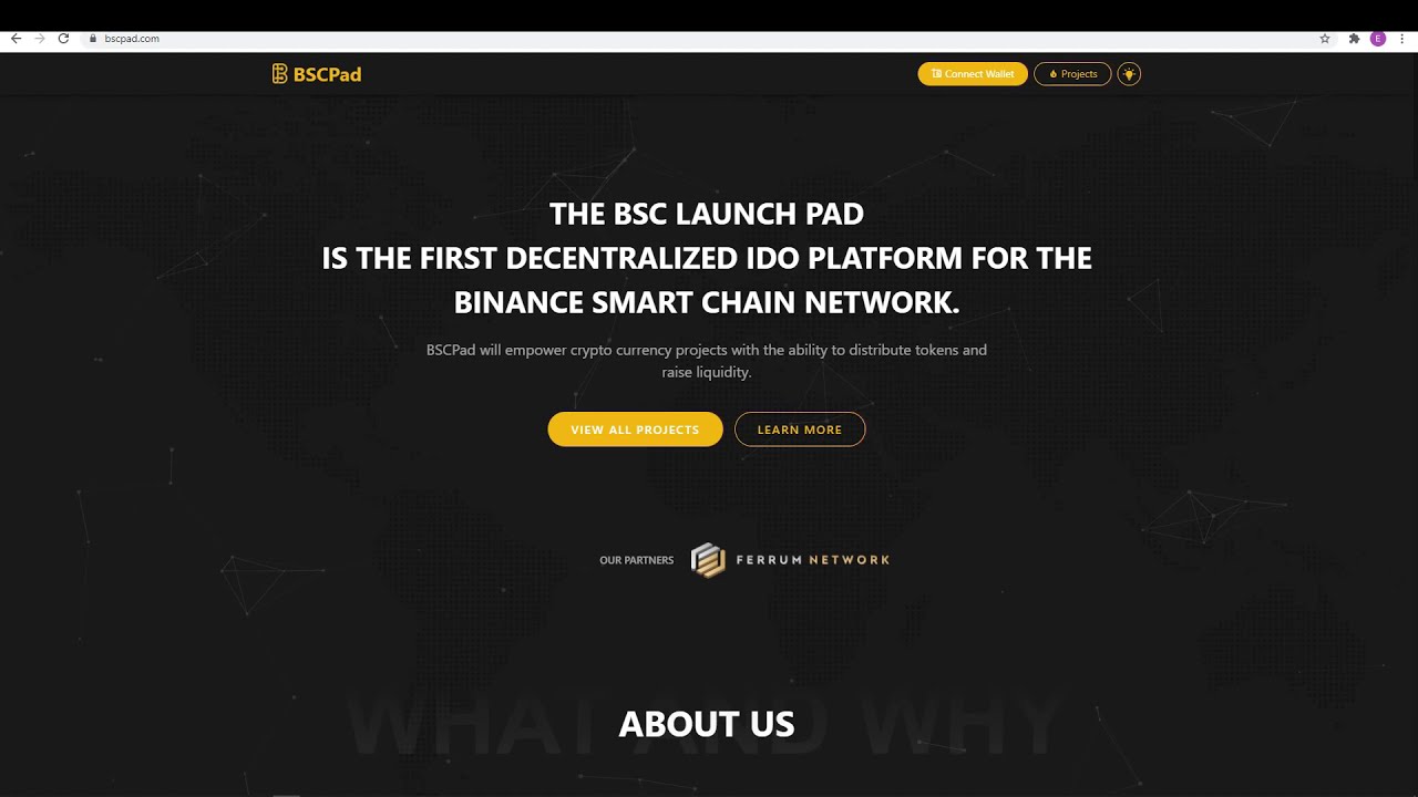 How To gain Access To New Crypto Coins Before The Public (BSCPAD)