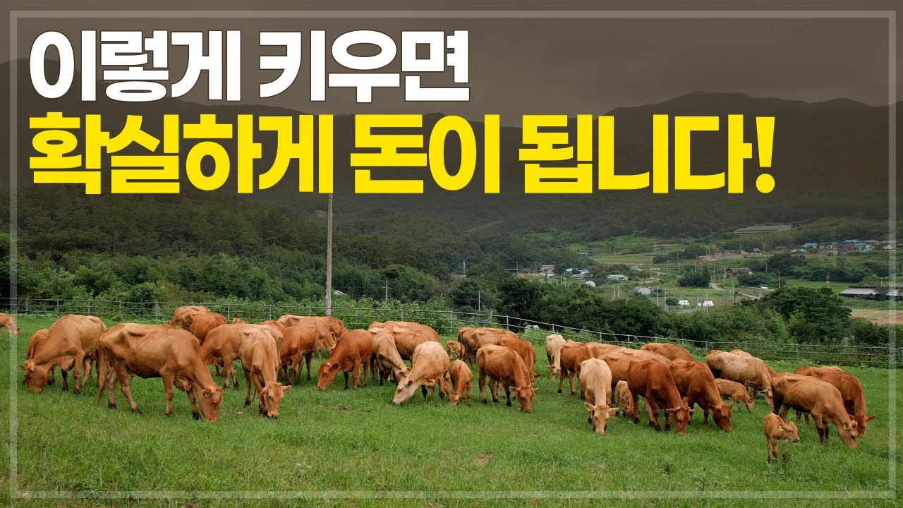 1kg에 39만원까지! 이 엄청난 가격에도 완판되는 이유?