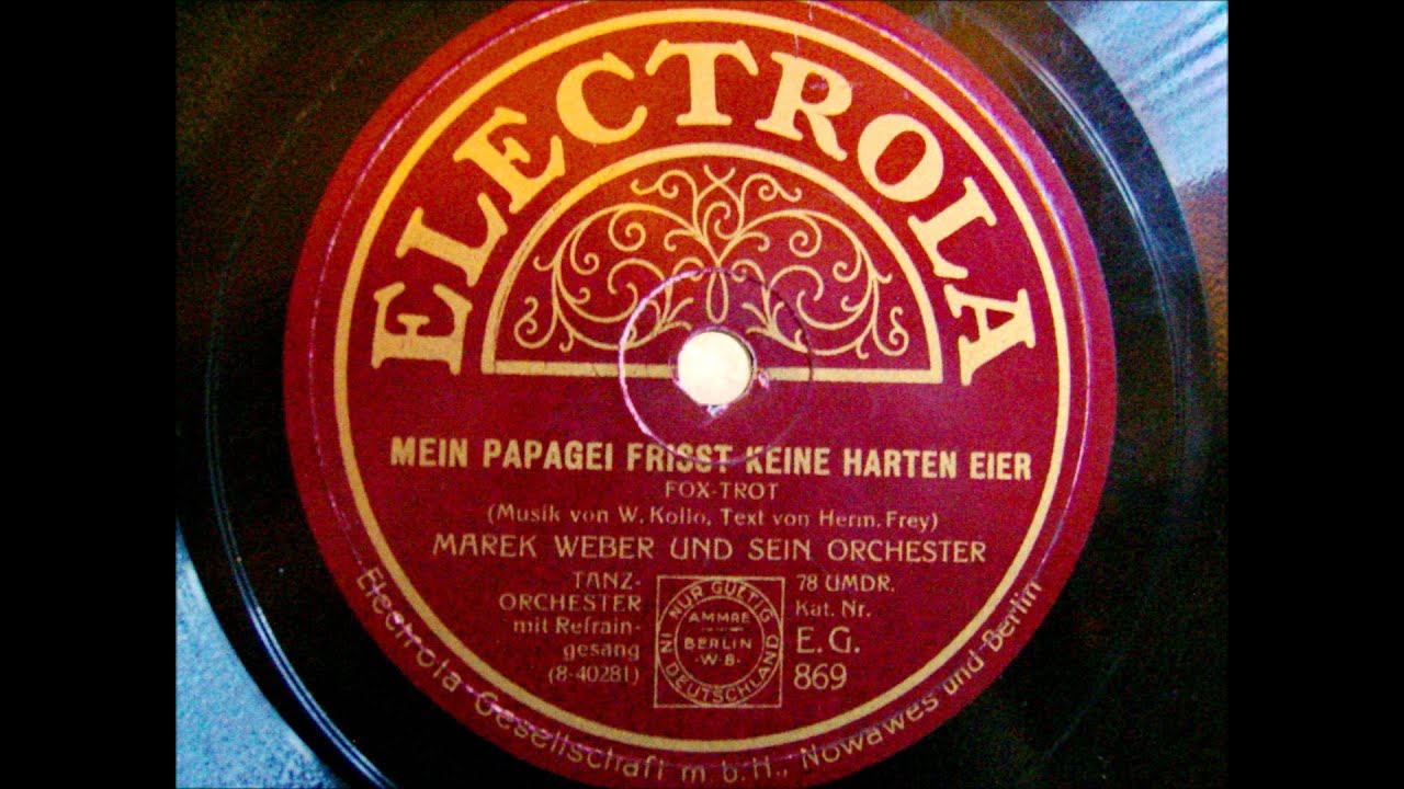 Mein Papagei Frisst Keine Harten Eier