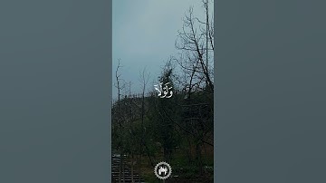 سورة النور _ القارئ/ سلمان العتيبي