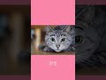 さとみくんの毎日メイク