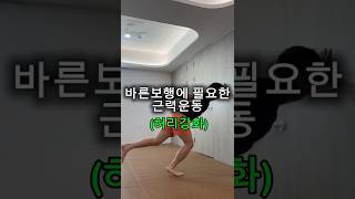 바르게 걷기 필수 근력운동! #코어운동 #바르게걷기 #허리강화
