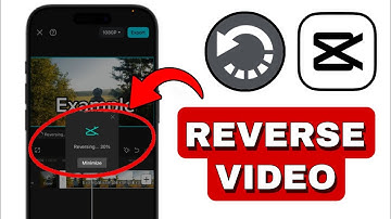 How To REVERSE Video In CapCut - 2024 (Quick And Easy Tutorial)
