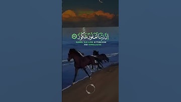 📖سورة فاطر 🎙️احمد العجمي