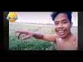 LATEST FUNNY VIDEOS | QUOTES COMPILATION | JOWA NA NG TROPA KO😂🤣🤪👌