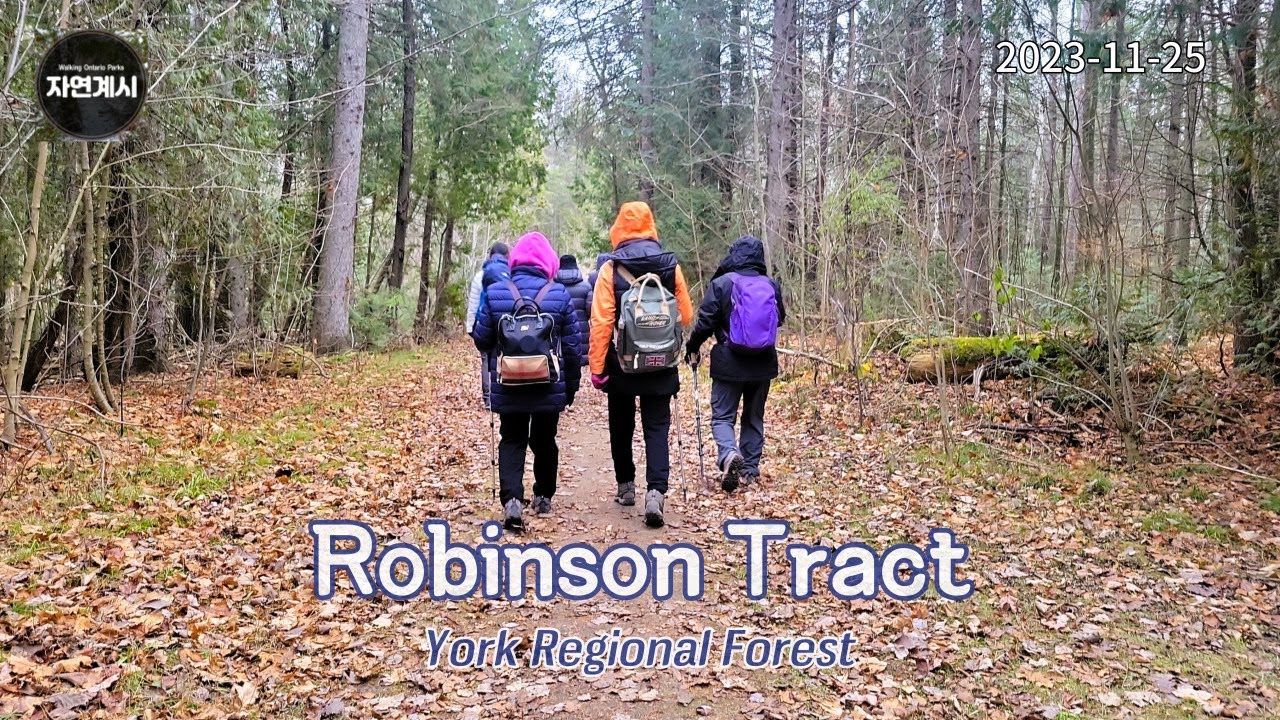 York Regional Forest Robinson Tract 1 [2023.11.25